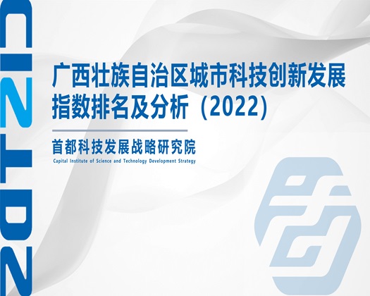 美女扒开下方让我操【成果发布】广西壮族自治区城市科技创新发展指数排名及分析（2022）